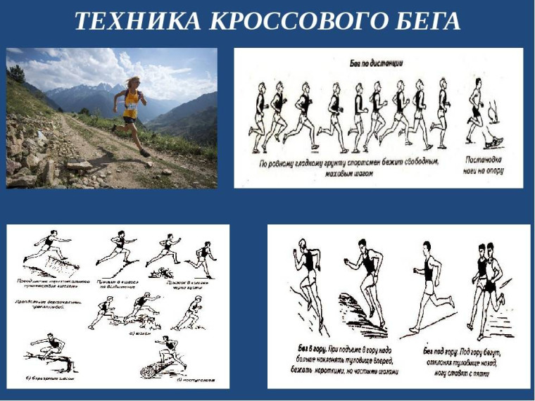 ВФСК ГТО. Порядок организации тестирования прикладных навыков.